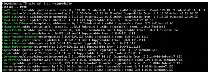 Terminal output of apt list --upgradable showing over 20 pending package updates, including the Linux kernel