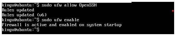 Terminal output of ufw allow OpenSSH and ufw enable, with the firewall reported active and enabled on startup