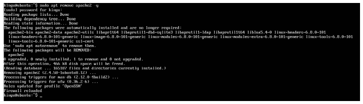 Terminal output of apt remove apache2 showing the package removed and UFW firewall rules reloaded
